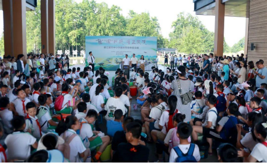 1716795986828749.png image.png